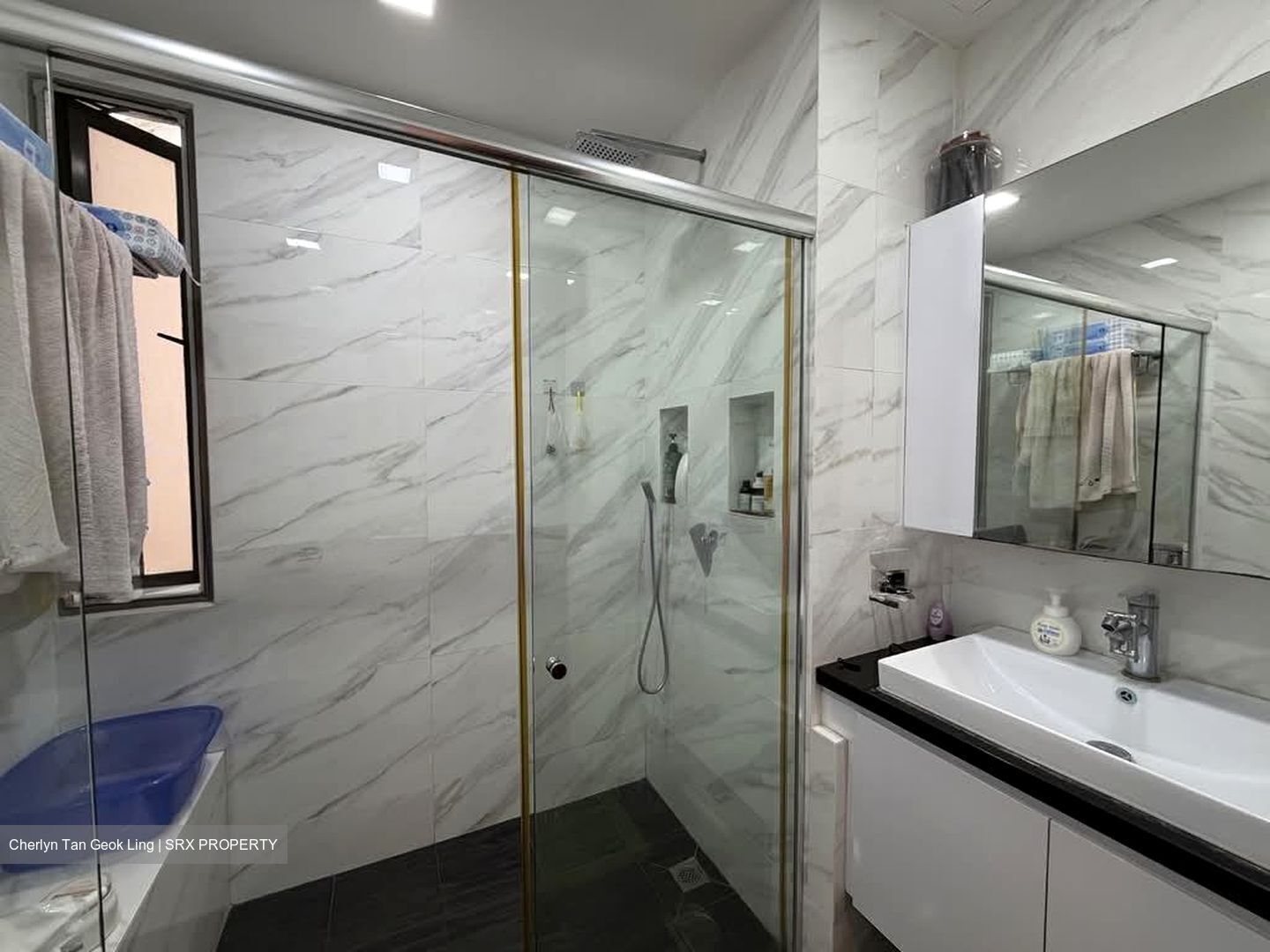 Parc Vista (D22), Condominium #529229431